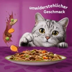 Whiskas Tasty Mix Multipack Chef's Choice In Sauce 60 X 85g -Geschäft Für Katzenbedarf 00442002c36da7f8b13802a1093e87c1e37cdc7c 1410719 de DE Whiskas 6