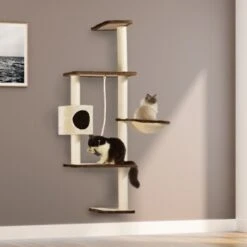 Silvio Design Wandkratzbaum Mabel -Geschäft Für Katzenbedarf 00d394709fdae2fe14716fa5745b36c74ff03f54 cc5b403e8381af2309c72762799eeee1ad8c4563