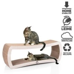 Canadian Cat Company Kratzbrett Jumbo Galaxy Naturfarben -Geschäft Für Katzenbedarf 02acdf7b8783dbccecb0f2a4b7e2bd6d2c801b50 1191174 de DE 50d2a39867353264c5ef5979145ef761e5166d63SIB4dX