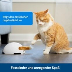 PetSafe Automatisches Katzenspielzeug Fox Den -Geschäft Für Katzenbedarf 038232be25f9015ce160251d628e0af5cabbc69f 1351524 de DE dbeb3a30744bbc866a12a3ecd4f619007abf0a14xn8Dpf