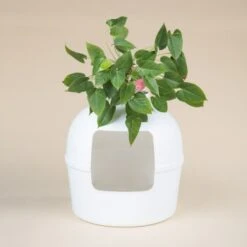 RHR Quality Katzentoilette Flower XXL -Geschäft Für Katzenbedarf 045c34da52ea42a8ca93faa0ffc4384eb81e7dd2 1641853 de DE 9141ae2b51dfaf3b5b7cf3a1ab485e45a4e63ee0Obqwe6