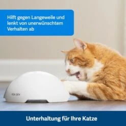 PetSafe Automatisches Katzenspielzeug Fox Den -Geschäft Für Katzenbedarf 08408a2d9006c3b10c605053b082403622980ada 1351524 de DE 8502feb5da21e0ab937dc8c82ecaeac4aebee886lllVcE
