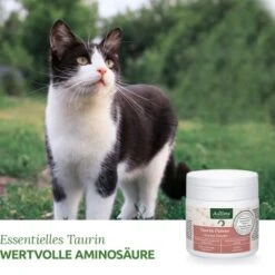Aniforte Taurin 100g 10 Aniforte Taurin 100g -Geschäft Für Katzenbedarf 0bea68d016a7aabae30732000f396c44a019efd7 1472617 de DE b3dae817e7a2eb80d599635916b5cd68212f13aaKMDIbR