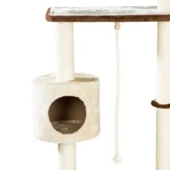 Silvio Design Wandkratzbaum Mabel -Geschäft Für Katzenbedarf 0dc6bcdaee1bb3e50d292627e846d3bfac7dcaa1 6db8f67f7d5129fab51fd817f6befb2a887ffed5