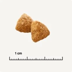 SELECT GOLD Light Adult Geflügel & Reis 2,5 Kg -Geschäft Für Katzenbedarf 0e0cb7fda9cc7a96a9f2c0e4965d8e2bbc043b5c 1243297 de DE 6