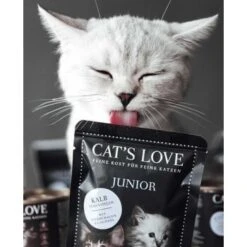 Geschäft Für Katzenbedarf -Geschäft Für Katzenbedarf 0fbd5f10e5a9e35a001e74dcb90dc5416d62d4e9 1274355 1