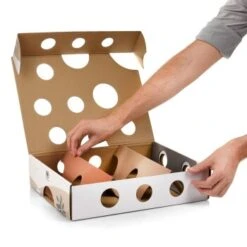 Canadian Cat Company Katzenspielzeug MagicBox 16 Canadian Cat Company Katzenspielzeug MagicBox -Geschäft Für Katzenbedarf 142300badb79cca7ad6d02f165f6adb72822700a 1361887 de DE 0a0d8e236e46b38b19bc65d2f7a8b14b65d84da00feNa3