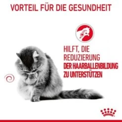 ROYAL CANIN Hairball Care 10 Kg 16 ROYAL CANIN Hairball Care 10 Kg -Geschäft Für Katzenbedarf 14fa9aa5655c87a7093ec381f4e873eb14036918 1003122014 4