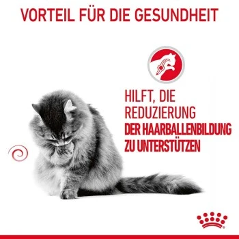ROYAL CANIN Hairball Care 10 Kg 6 ROYAL CANIN Hairball Care 10 Kg – Bild 4