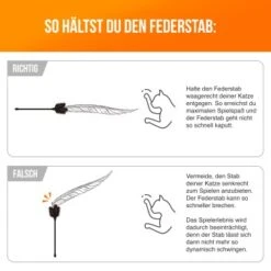 Schlitzohr Federwedel Birdy 3er Pack -Geschäft Für Katzenbedarf 16072e01b419f04186b3ef116d6cd36b37e5e14d 1659562 de DE 14a63acfadc12c43ff7fa0cac6e3fa04d776aa75sEyDpP