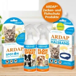 Ardap Spot-On Für Katzen S -Geschäft Für Katzenbedarf 178d15ac9da3c3d9fa67232babf72025c6818bc9 1150895 de DE 986a55c9a154810fd460d41d158e3ced050ed285C5pfll