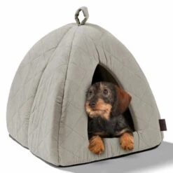 MORE Höhle Diamond -Geschäft Für Katzenbedarf 1901edb64570eb8cb38c0e72458280ff138dcb40 856e9f8ef094dc77c4e2ce9e6d85768bffa721c6