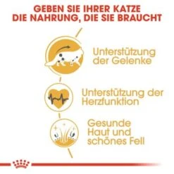 ROYAL CANIN Maine Coon Adult 10 Kg -Geschäft Für Katzenbedarf 193838012faba50961af8a6b1972f50353f3759f 0ec5240d9e0a92eb32a4d9b7f4fda22d682f9237