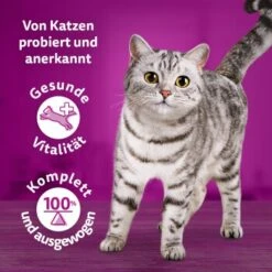 Whiskas Tasty Mix Multipack Chef's Choice In Sauce 60 X 85g -Geschäft Für Katzenbedarf 1a0896467c0da700d9e0fc280bc0258026c8c9f0 1410719 de DE Whiskas 2 1