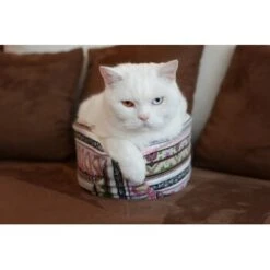 Canadian Cat Company Katzenschiff NERO -Geschäft Für Katzenbedarf 1c33ff7886f1f3f346559d10f3df372c5dada126 1412667 de DE 46780a4b5da8fe052e5be00462eb02991658c41f34p9ur