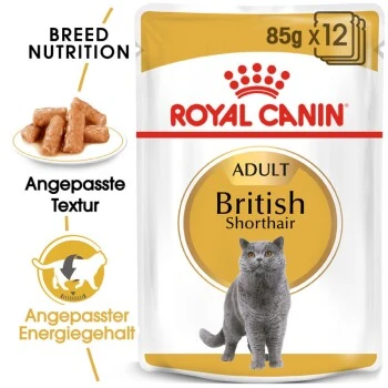 ROYAL CANIN British Shorthair 12x85g 4 ROYAL CANIN British Shorthair 12x85g – Bild 2
