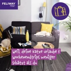 Feliway Help! 7 Tage Start-Set Zur Vorbeugung Von Stress -Geschäft Für Katzenbedarf 1d89a27b4c8b60e0ea97877af16b355ca17c594e 1380136 7