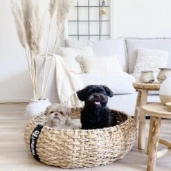 District 70 COCOON Natural M 12 District 70 COCOON Natural M -Geschäft Für Katzenbedarf 1db584284c497361442002ba80ca8dd9597a35b9 1ad367312153dfaf420d5600b6e8e9dac5cec798