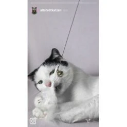 Kater Kasimir Premium Katzenangel Set Aus Buchenholz Mit 4 Handgemachten Anhängern -Geschäft Für Katzenbedarf 21dd16f50076a5d627c45258925f2847665d22a7 1422145 de DE ad7eb1e3270aeafca2a582afabb293db93269a7cF1epRY