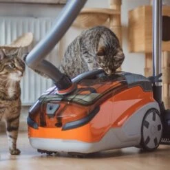 THOMAS AQUA+ Pet & Family 23 THOMAS AQUA+ Pet & Family -Geschäft Für Katzenbedarf 21e8e8518abc51c946ca914e90765288e3a69832 1408595 de DE b89bf30d7c68d7291af3123da80a610e6c34da4duk7V17