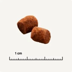 SELECT GOLD Indoor Adult Geflügel & Reis 7 Kg -Geschäft Für Katzenbedarf 26d8ffb703c60b41462e69b68e028f8315fee50f 1243348 de DE 6