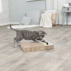 Trixie Kratzpappe Mit Spielzeug 10 Trixie Kratzpappe Mit Spielzeug -Geschäft Für Katzenbedarf 2922fdbeca6faf723a69257e5e81b0da65bcea01 149772bd00e8a047fa4bf8b07169295e296775d1