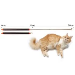 Schlitzohr Stabile Katzenangel Arnold -Geschäft Für Katzenbedarf 2b03aaa8061d454c3b132f3d29075b579f022315 1484671 de DE 4db6a969e0582cf4b987acff93cb66c6c6149da6OAB1hx