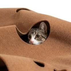 Canadian Cat Company Spielteppich Für Katzen Braun -Geschäft Für Katzenbedarf 2d410486173eb6739126d1af73ad3230c308a43d 1394213 de DE 2f11fbac0571dcc5ff170aac428c7150347b9b8ccw1yKZ