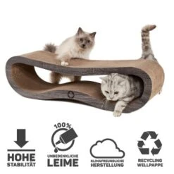 Canadian Cat Company Kratzbrett Orbit 2.0 Dunkelgrau -Geschäft Für Katzenbedarf 2d5047553575aa44a76427933901e71eb7a32b9d 1191171 de DE f96448ffa6677571b69437b0ff181630ced82af8OExiMS