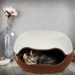 Canadian Cat Company Filz Katzennest 2.0 Weiß -Geschäft Für Katzenbedarf 2d709df44822ed1c554e77257ea4f2826b7f6ee6 1412670 de DE f4bc2f42c404e1ae32cb86346c8e995f0178b889j3OAow