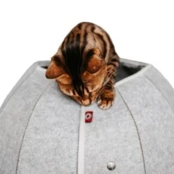 Canadian Cat Company Katzenhöhle In Kugelform S 13 Canadian Cat Company Katzenhöhle In Kugelform S -Geschäft Für Katzenbedarf 2ecb868df2d3b2cf90a9092caebd3c19caa20008 1347679 de DE 9620a1f8944edc55aec2b992d490644e015c022abD41s1