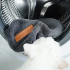 Schlitzohr Ersatzbezug Fensterbankliege 14 Schlitzohr Ersatzbezug Fensterbankliege -Geschäft Für Katzenbedarf 31be77f1e399f6136043e21b4738926da0a2a857 1484678 de DE ef0a822967d19fb8fa7e91c1bd57dd978a972d89UwPMnu