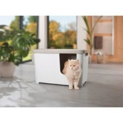 MORE FOR Katzentoilette XXL Titan -Geschäft Für Katzenbedarf 331a65ecbdbda6a54304894f23caf93293414f9a 41a7dcb3b92b8da7531785b268f381c1b25bbf04