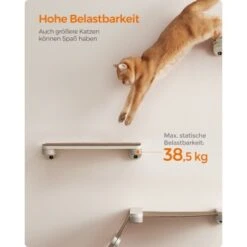 FEANDREA Clickat Katzenbrett Für Die Wand 14 FEANDREA Clickat Katzenbrett Für Die Wand -Geschäft Für Katzenbedarf 338ade66aef20441d84c6879cbb7cdd9f229234a 1681427 de DE 49f3284dc1e7752ec473d61a07cc5870214b5201yzDhq7