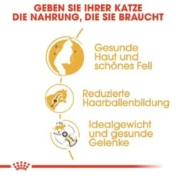 ROYAL CANIN Norwegian Forest Adult 10 Kg 14 ROYAL CANIN Norwegian Forest Adult 10 Kg -Geschäft Für Katzenbedarf 35f747f3a246ac1026c8b21a4d6b84d72541816d 27437237589f91031e5751991c906b563ce7ae1f