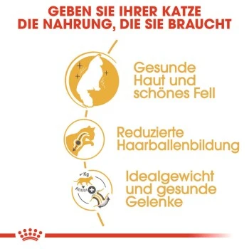 ROYAL CANIN Norwegian Forest Adult 10 Kg 8 ROYAL CANIN Norwegian Forest Adult 10 Kg – Bild 6