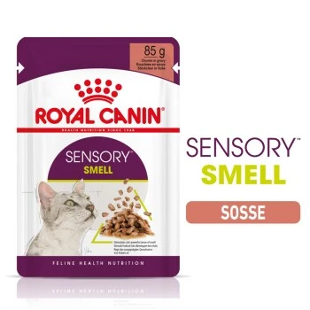 ROYAL CANIN SENSORY Smell In Soße Für Wählerische Katzen 12x85g 3 ROYAL CANIN SENSORY Smell In Soße Für Wählerische Katzen 12x85g