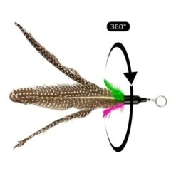 Schlitzohr Stabile Katzenangel Arnold -Geschäft Für Katzenbedarf 382dabc3124b2433dd5094529d9a28ca6fe26941 1484671 de DE 446adc427da6b16fd110ddca60a13ebf08562de7l9uqlV