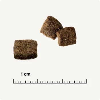 REAL NATURE WILDERNESS Adult Mixpaket Mixpaket 1, Mix-Pack 5 REAL NATURE WILDERNESS Adult Mixpaket Mixpaket 1, Mix-Pack – Bild 3