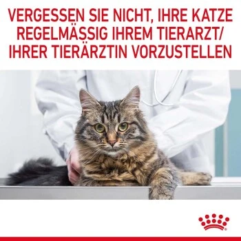 ROYAL CANIN Hairball Care 10 Kg 13 ROYAL CANIN Hairball Care 10 Kg – Bild 11