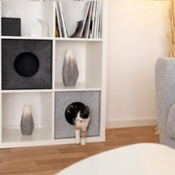 Lionto Katzenhöhle Aus Filz, Regalhöhle Hellgrau -Geschäft Für Katzenbedarf 3c5d584027a6e3b26513e541aa58d28bf163eba5 1657088 de DE 08ba330c4edc4dd9925351943ddeb35e95610dc5ibJstM