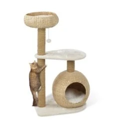 AniOne Kratzbaum Saki 19 AniOne Kratzbaum Saki -Geschäft Für Katzenbedarf 3ca3b648185a373e229005df7555083cfb5743b6 0675754154c521b141097c888178be1dbd0158d0