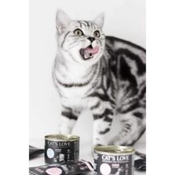 CAT'S LOVE Junior 6x200g -Geschäft Für Katzenbedarf 3db85c6c04b1b4ea093319cecf4870cce33ef04c 1301970 1