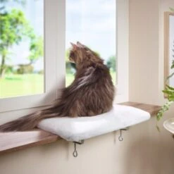 AniOne Fensterliegeplatz -Geschäft Für Katzenbedarf 3ed1f86bcd38eea7f6bb469869d0ceabbf14e73e 08d7fb7b3ea8513f40155b969787349e3e9059aa