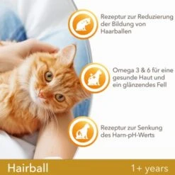 IAMS Vitality Adult Hairball Huhn 10 Kg -Geschäft Für Katzenbedarf 401ab652809dfedce7c59c99ad81fce5347594eb 334b64ba35870c05d1378b1c3128cc83d6f79ac9