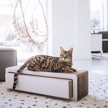 District 70 STRETCH 6 District 70 STRETCH – Bild 4