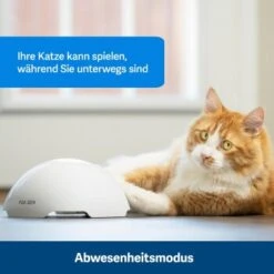 PetSafe Automatisches Katzenspielzeug Fox Den -Geschäft Für Katzenbedarf 436796eddc653fbc5ba6c19e00138d58f340ef52 1351524 de DE 2c07966cfa5d20e79e732d930dea56115af33e3axxjuix