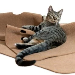 Canadian Cat Company Spielteppich Für Katzen Braun -Geschäft Für Katzenbedarf 446d45749f5e58cb5a7dbc00eb3558dbe40784fe 1394213 de DE 80770b9625226d955903498b97e7018485822aeeDB3L2u