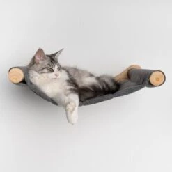 RHR Quality Wandmöbel Kletterwand Katze - Hängematte XXL De Luxe 13 RHR Quality Wandmöbel Kletterwand Katze - Hängematte XXL De Luxe -Geschäft Für Katzenbedarf 475a8e1197d8955e467e23c6d6569164215ad0b7 1655443 de DE 86388ca5f84f7125c05ab89c1927d92edf94dd47mPr80Z