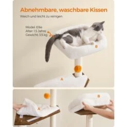 FEANDREA Kratzbaum Mit Croomer Braun 15 FEANDREA Kratzbaum Mit Croomer Braun -Geschäft Für Katzenbedarf 47d0b3925cfaeb666d35f7ee3984913541c8c087 1651635 de DE 88f22557a14da5cca647f95ef4949dafa54896c7B6UNIS